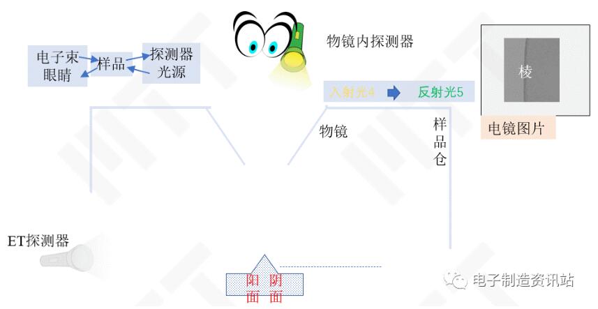 利用光路可逆性演示物鏡內(nèi)探測(cè)器對(duì)圖像的影響